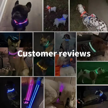 Collier de chien lumineux LED réglable clignotant Rechargea collier lumineux nuit Anti-perte harnais de lumière pour chien pour petits chiens produits pour animaux de compagnie