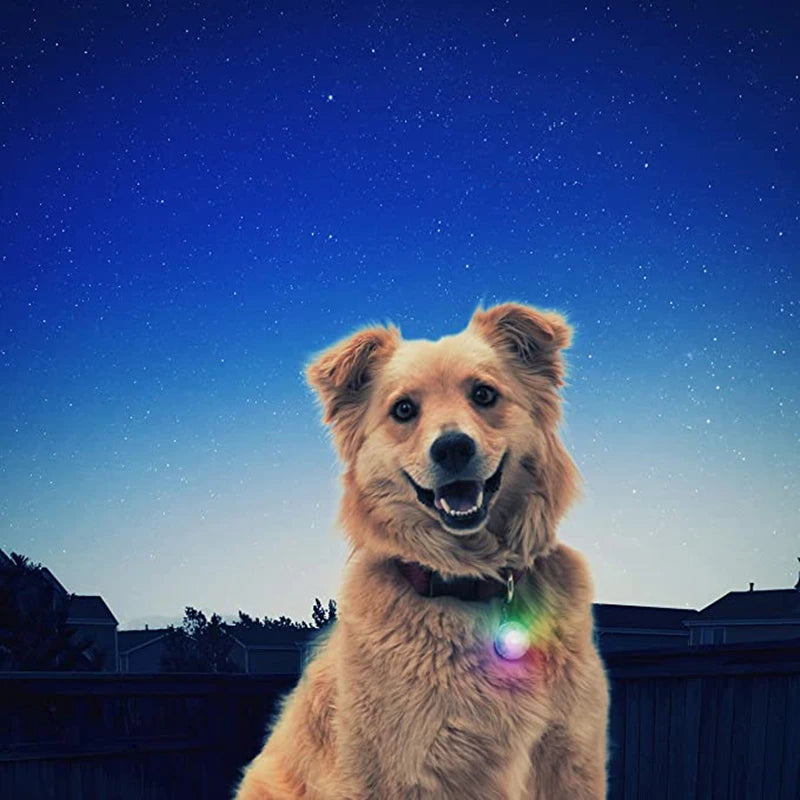 Collier de chien lumineux avec chargeur Usb, avec pendentif, lumière Led de luxe détachable, lumineux pour petits chiens et chats, collier de sécurité de nuit, vente en gros