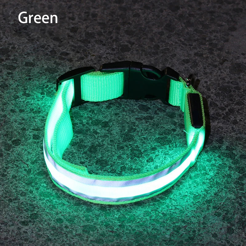 Collier de chien réfléchissant lumineux nuit sécurité USB Rechargeable LED collier de chien lumière pour petits chiens chat collier pour animaux de compagnie Para Perro XS-XL