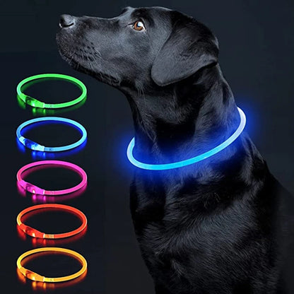 Collier de chien lumineux Led, collier de chargement USB, clignotant, bricolage, sécurité lumineuse, Anti-perte, collier pour chiens et chats, accessoires et fournitures