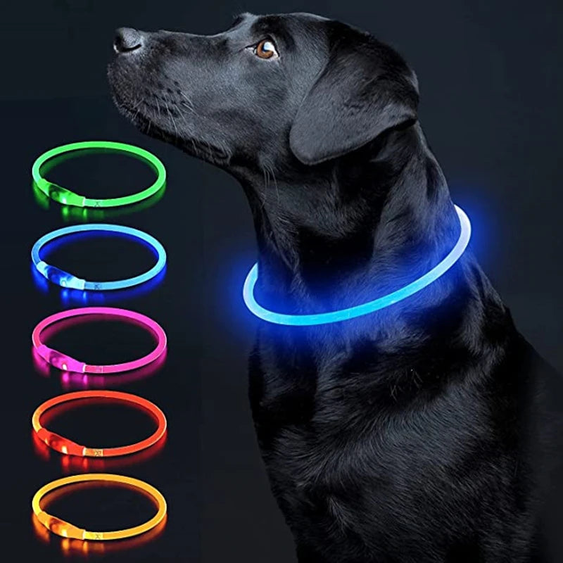 Collier de chien lumineux Led, collier de chargement USB, clignotant, bricolage, sécurité lumineuse, Anti-perte, collier pour chiens et chats, accessoires et fournitures