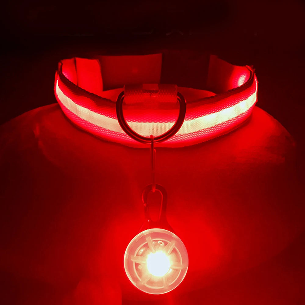 Collier de chien lumineux avec chargeur Usb, avec pendentif, lumière Led de luxe détachable, lumineux pour petits chiens et chats, collier de sécurité de nuit, vente en gros