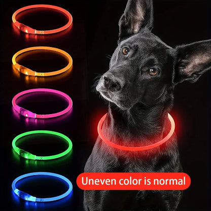 Collier lumineux LED pour chien de compagnie, Anti-perte, Rechargeable par USB