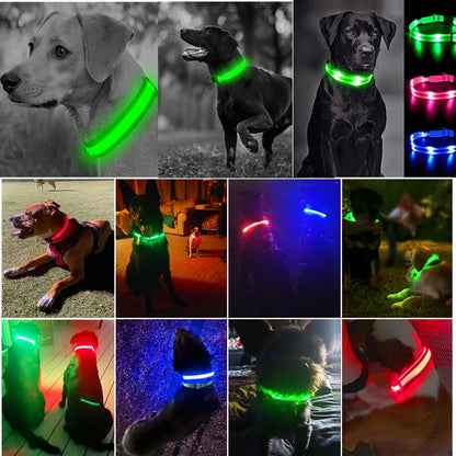 Collier de chien lumineux avec chargeur Usb, avec pendentif, lumière Led de luxe détachable, lumineux pour petits chiens et chats, collier de sécurité de nuit, vente en gros