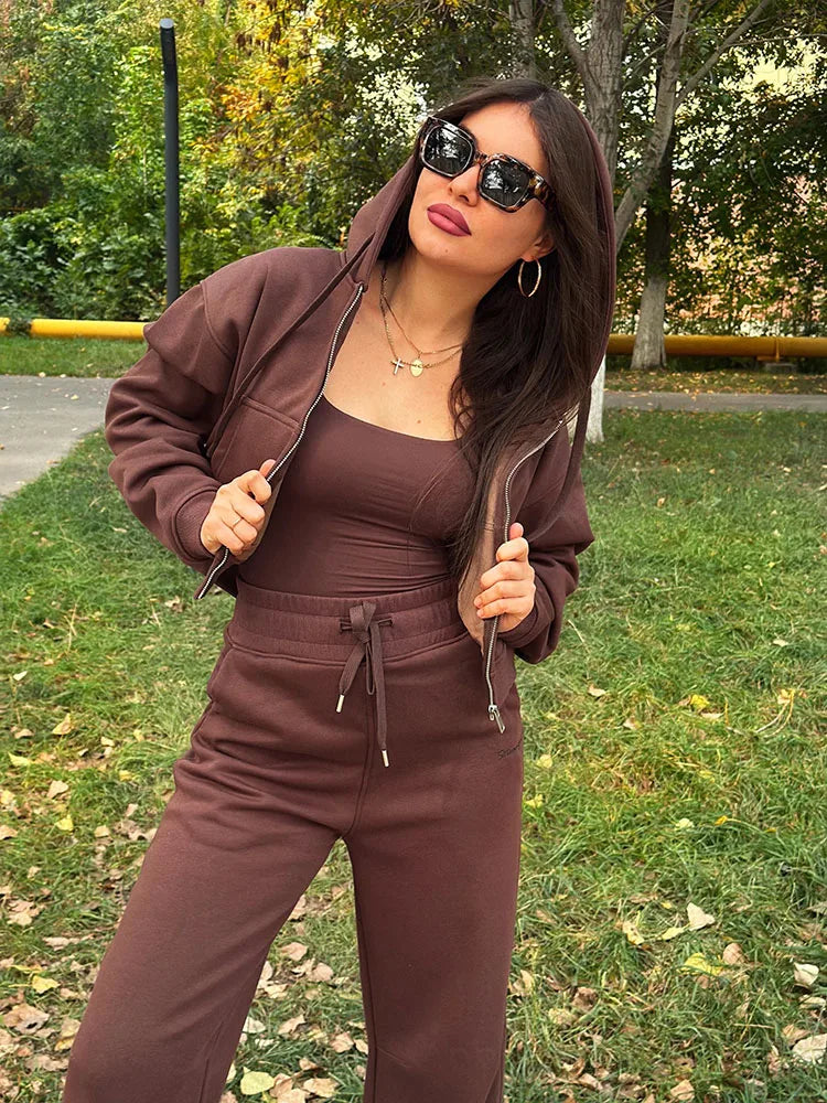 Women Tracksuits Winter Fleece Sweatsuit Brown Warm Crop Zipper Hoodies And Sweatpants Set For Women 2 Piece Velvet Pants Sets