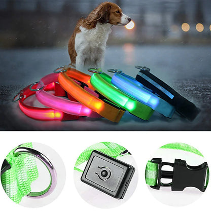 Collier de chien lumineux avec chargeur Usb, avec pendentif, lumière Led de luxe détachable, lumineux pour petits chiens et chats, collier de sécurité de nuit, vente en gros