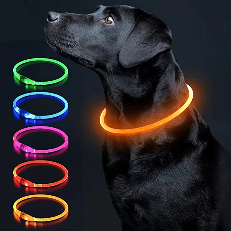 Collier de chien lumineux Led, collier de chargement USB, clignotant, bricolage, sécurité lumineuse, Anti-perte, collier pour chiens et chats, accessoires et fournitures