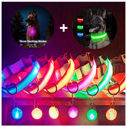 Collier de chien lumineux avec chargeur Usb, avec pendentif, lumière Led de luxe détachable, lumineux pour petits chiens et chats, collier de sécurité de nuit, vente en gros