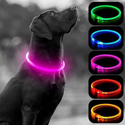 Collier de chien lumineux Led, collier de chargement USB, clignotant, bricolage, sécurité lumineuse, Anti-perte, collier pour chiens et chats, accessoires et fournitures