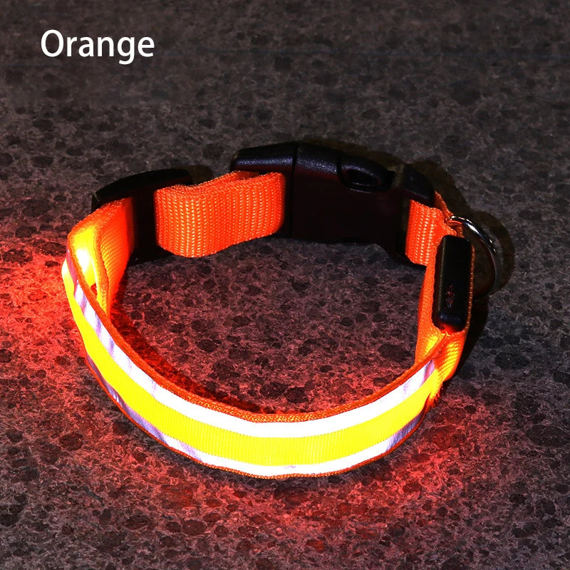 Collier de chien réfléchissant lumineux nuit sécurité USB Rechargeable LED collier de chien lumière pour petits chiens chat collier pour animaux de compagnie Para Perro XS-XL
