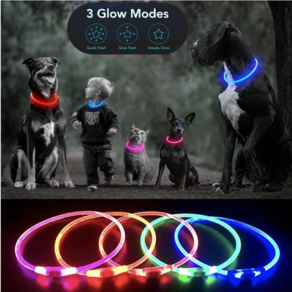 Collier de chien lumineux Led, collier de chargement USB, clignotant, bricolage, sécurité lumineuse, Anti-perte, collier pour chiens et chats, accessoires et fournitures