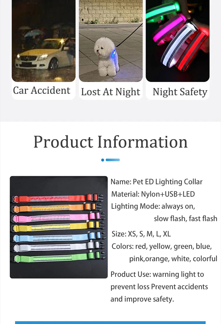 Collier de chien réfléchissant lumineux nuit sécurité USB Rechargeable LED collier de chien lumière pour petits chiens chat collier pour animaux de compagnie Para Perro XS-XL