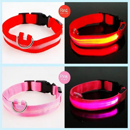 Collier de chien lumineux LED réglable clignotant Rechargea collier lumineux nuit Anti-perte harnais de lumière pour chien pour petits chiens produits pour animaux de compagnie