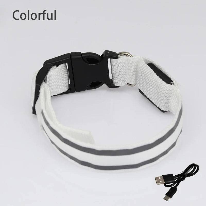 Collier de chien réfléchissant lumineux nuit sécurité USB Rechargeable LED collier de chien lumière pour petits chiens chat collier pour animaux de compagnie Para Perro XS-XL