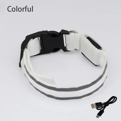Collier de chien réfléchissant lumineux nuit sécurité USB Rechargeable LED collier de chien lumière pour petits chiens chat collier pour animaux de compagnie Para Perro XS-XL