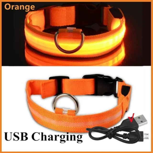 Collier de chien lumineux LED réglable clignotant Rechargea collier lumineux nuit Anti-perte harnais de lumière pour chien pour petits chiens produits pour animaux de compagnie