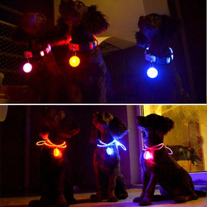 Collier de chien lumineux avec chargeur Usb, avec pendentif, lumière Led de luxe détachable, lumineux pour petits chiens et chats, collier de sécurité de nuit, vente en gros