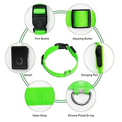 Collier de chien lumineux LED réglable clignotant Rechargea collier lumineux nuit Anti-perte harnais de lumière pour chien pour petits chiens produits pour animaux de compagnie