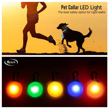 Collier de chien lumineux avec chargeur Usb, avec pendentif, lumière Led de luxe détachable, lumineux pour petits chiens et chats, collier de sécurité de nuit, vente en gros
