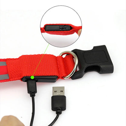 Collier de chien réfléchissant lumineux nuit sécurité USB Rechargeable LED collier de chien lumière pour petits chiens chat collier pour animaux de compagnie Para Perro XS-XL