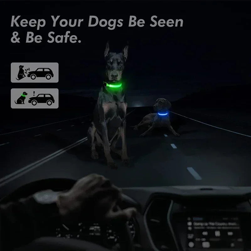 Collier de chien lumineux LED réglable clignotant Rechargea collier lumineux nuit Anti-perte harnais de lumière pour chien pour petits chiens produits pour animaux de compagnie