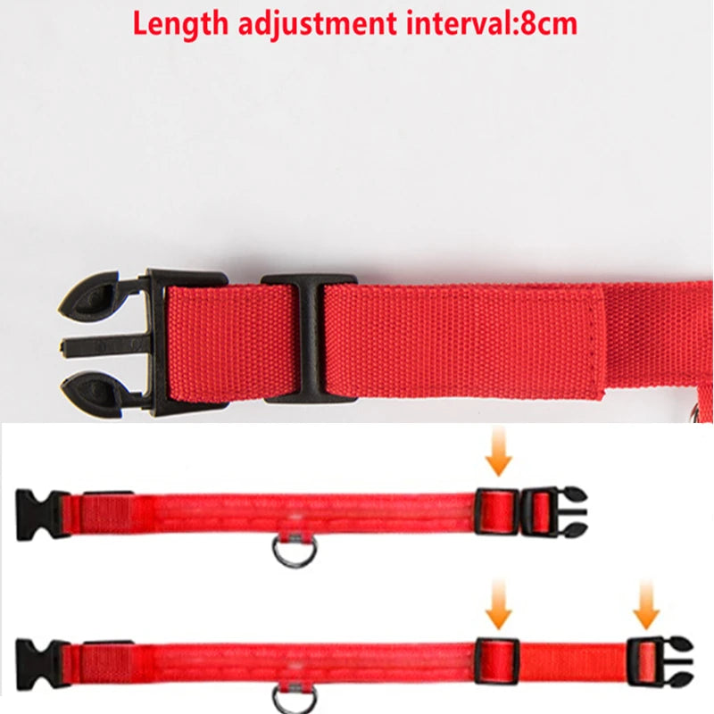 Collier de chien lumineux avec chargeur Usb, avec pendentif, lumière Led de luxe détachable, lumineux pour petits chiens et chats, collier de sécurité de nuit, vente en gros