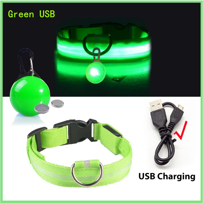 Collier de chien lumineux avec chargeur Usb, avec pendentif, lumière Led de luxe détachable, lumineux pour petits chiens et chats, collier de sécurité de nuit, vente en gros
