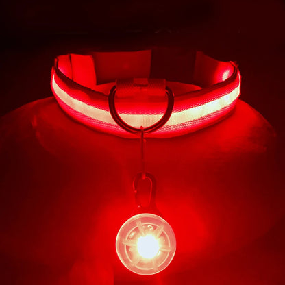 Collier de chien lumineux avec chargeur Usb, avec pendentif, lumière Led de luxe détachable, lumineux pour petits chiens et chats, collier de sécurité de nuit, vente en gros
