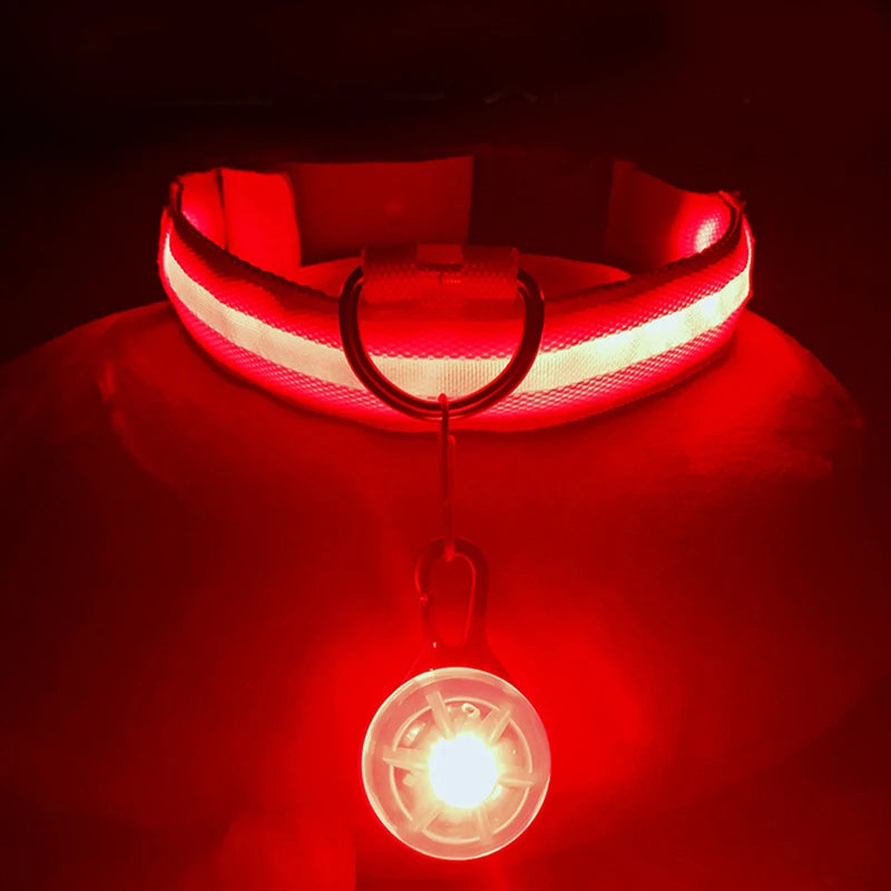 Collier de chien lumineux avec chargeur Usb, avec pendentif, lumière Led de luxe détachable, lumineux pour petits chiens et chats, collier de sécurité de nuit, vente en gros