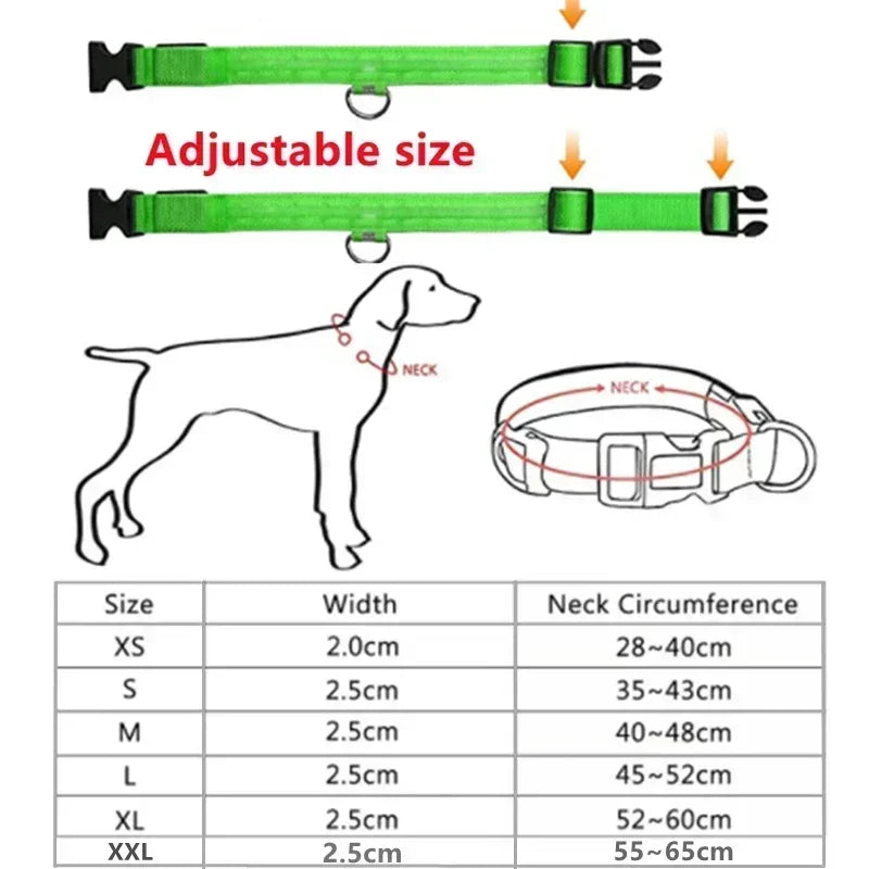 Collier de chien lumineux LED réglable clignotant Rechargea collier lumineux nuit Anti-perte harnais de lumière pour chien pour petits chiens produits pour animaux de compagnie