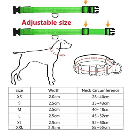 Collier de chien lumineux LED réglable clignotant Rechargea collier lumineux nuit Anti-perte harnais de lumière pour chien pour petits chiens produits pour animaux de compagnie