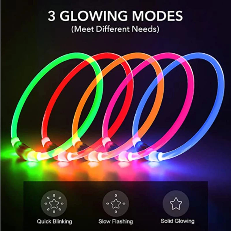 Collier de chien lumineux Led, collier de chargement USB, clignotant, bricolage, sécurité lumineuse, Anti-perte, collier pour chiens et chats, accessoires et fournitures