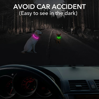 Collier lumineux LED pour chien de compagnie, Anti-perte, Rechargeable par USB