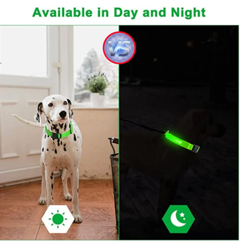 Collier de chien lumineux avec chargeur Usb, avec pendentif, lumière Led de luxe détachable, lumineux pour petits chiens et chats, collier de sécurité de nuit, vente en gros