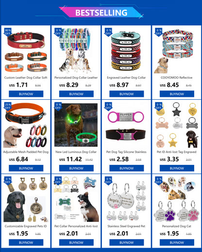 Collier de chien lumineux avec chargeur Usb, avec pendentif, lumière Led de luxe détachable, lumineux pour petits chiens et chats, collier de sécurité de nuit, vente en gros