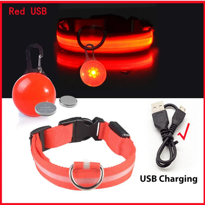 Collier de chien lumineux avec chargeur Usb, avec pendentif, lumière Led de luxe détachable, lumineux pour petits chiens et chats, collier de sécurité de nuit, vente en gros