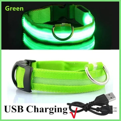 Collier de chien lumineux LED réglable clignotant Rechargea collier lumineux nuit Anti-perte harnais de lumière pour chien pour petits chiens produits pour animaux de compagnie