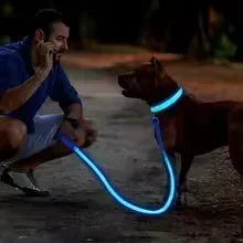 Collier de chien lumineux LED réglable clignotant Rechargea collier lumineux nuit Anti-perte harnais de lumière pour chien pour petits chiens produits pour animaux de compagnie