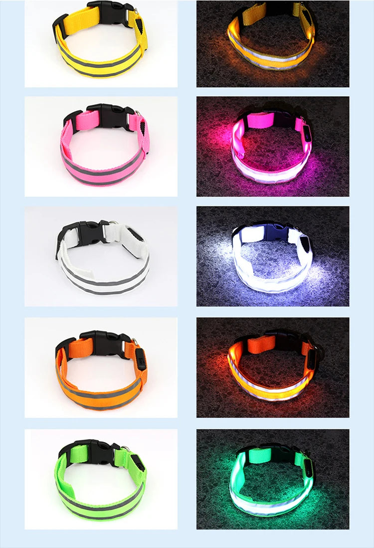 Collier de chien réfléchissant lumineux nuit sécurité USB Rechargeable LED collier de chien lumière pour petits chiens chat collier pour animaux de compagnie Para Perro XS-XL