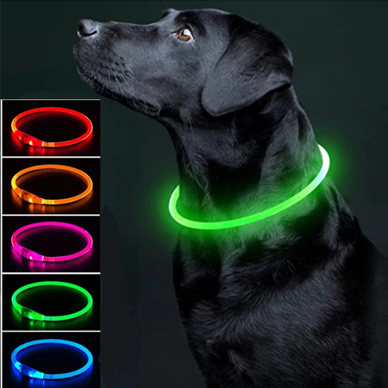 Collier de chien lumineux Led, collier de chargement USB, clignotant, bricolage, sécurité lumineuse, Anti-perte, collier pour chiens et chats, accessoires et fournitures
