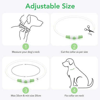 Collier de chien lumineux Led, collier de chargement USB, clignotant, bricolage, sécurité lumineuse, Anti-perte, collier pour chiens et chats, accessoires et fournitures