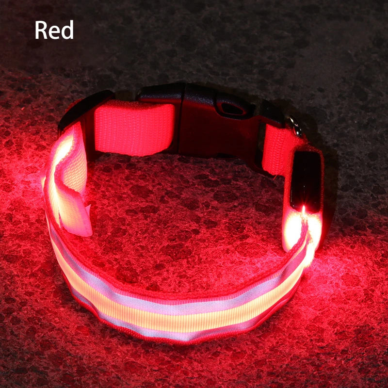 Collier de chien réfléchissant lumineux nuit sécurité USB Rechargeable LED collier de chien lumière pour petits chiens chat collier pour animaux de compagnie Para Perro XS-XL