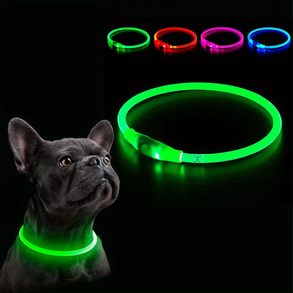 Collier lumineux LED pour chien de compagnie, Anti-perte, Rechargeable par USB