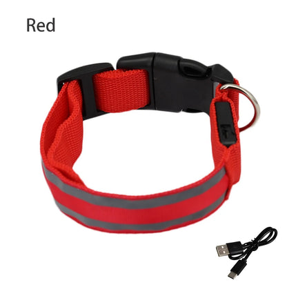 Collier de chien réfléchissant lumineux nuit sécurité USB Rechargeable LED collier de chien lumière pour petits chiens chat collier pour animaux de compagnie Para Perro XS-XL
