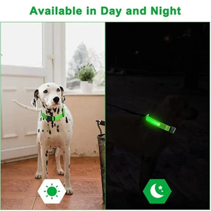 Collier de chien lumineux LED réglable clignotant Rechargea collier lumineux nuit Anti-perte harnais de lumière pour chien pour petits chiens produits pour animaux de compagnie