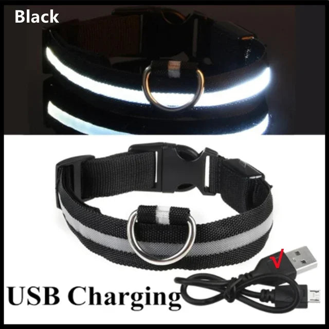 Collier de chien lumineux LED réglable clignotant Rechargea collier lumineux nuit Anti-perte harnais de lumière pour chien pour petits chiens produits pour animaux de compagnie