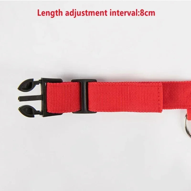 Collier de chien lumineux LED réglable clignotant Rechargea collier lumineux nuit Anti-perte harnais de lumière pour chien pour petits chiens produits pour animaux de compagnie