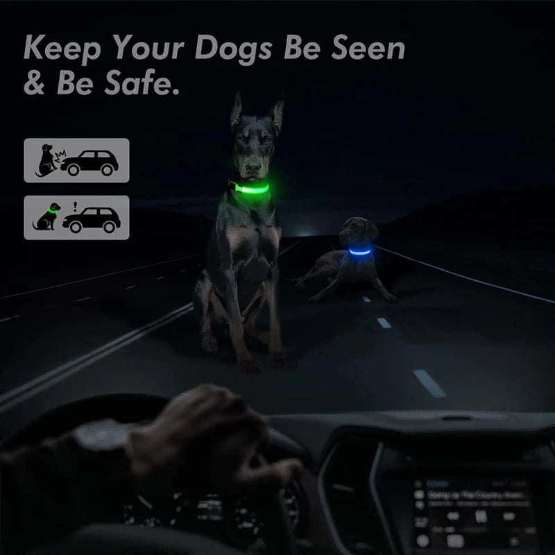 Collier de chien lumineux avec chargeur Usb, avec pendentif, lumière Led de luxe détachable, lumineux pour petits chiens et chats, collier de sécurité de nuit, vente en gros
