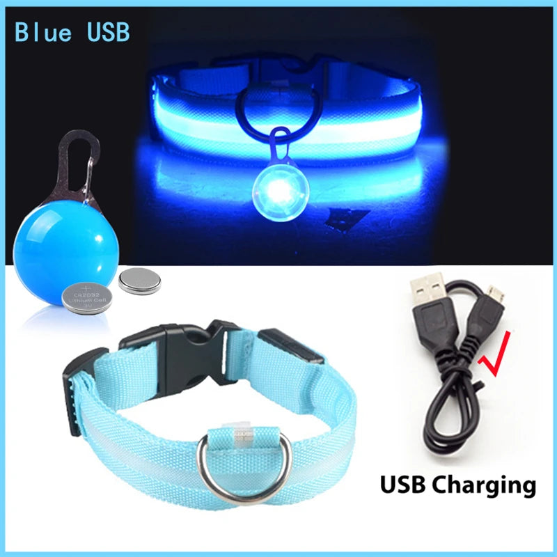 Collier de chien lumineux avec chargeur Usb, avec pendentif, lumière Led de luxe détachable, lumineux pour petits chiens et chats, collier de sécurité de nuit, vente en gros