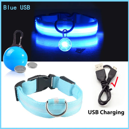 Collier de chien lumineux avec chargeur Usb, avec pendentif, lumière Led de luxe détachable, lumineux pour petits chiens et chats, collier de sécurité de nuit, vente en gros